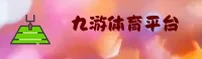 九游(BOYCARD)官网入口 - 领先体育数据平台
